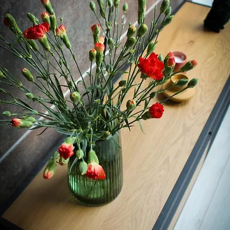 Soft Loft Apartment, Air Condition, 3 Beds, Kazimierz Apartmán *